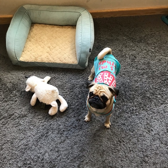 Meet your Posher, Selah - Picture 6 of 12